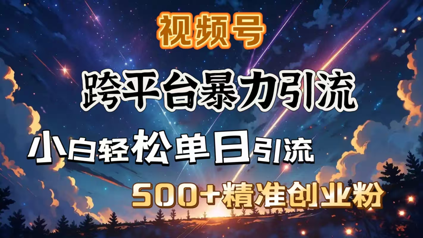 视频号跨平台暴力引流，小白轻松单日引流500＋精准创业粉-青创网