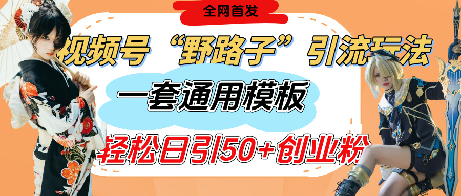视频号“野路子”玩法，评论区疯狂截流，一套模板单日单号引流50+创业粉-青创网