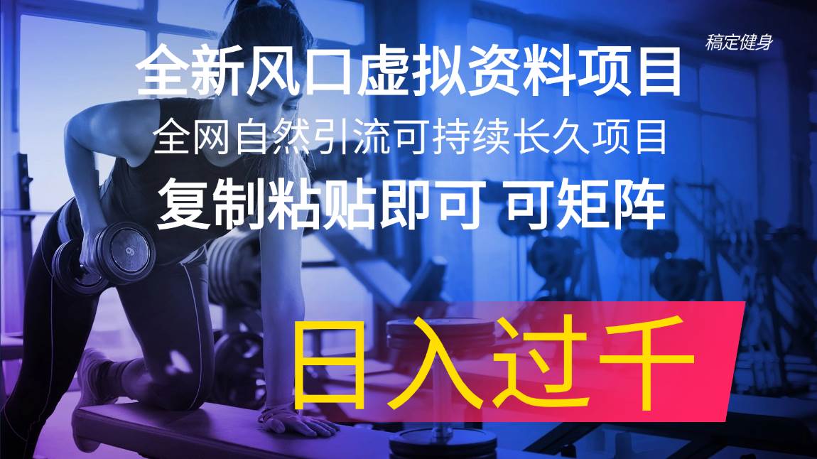 全新风口虚拟资料项目 全网自然引流可持续长久项目 复制粘贴即可可矩阵…-青创网