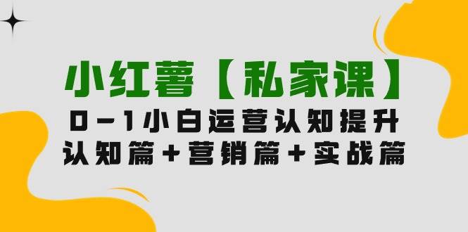 小红薯【私家课】0-1玩赚小红书内容营销，认知篇+营销篇+实战篇（11节课）-青创网