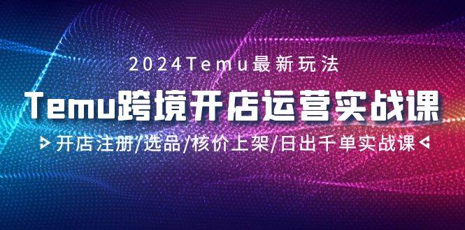 2024Temu跨境开店运营实战课，开店注册/选品/核价上架/日出千单实战课-青创网